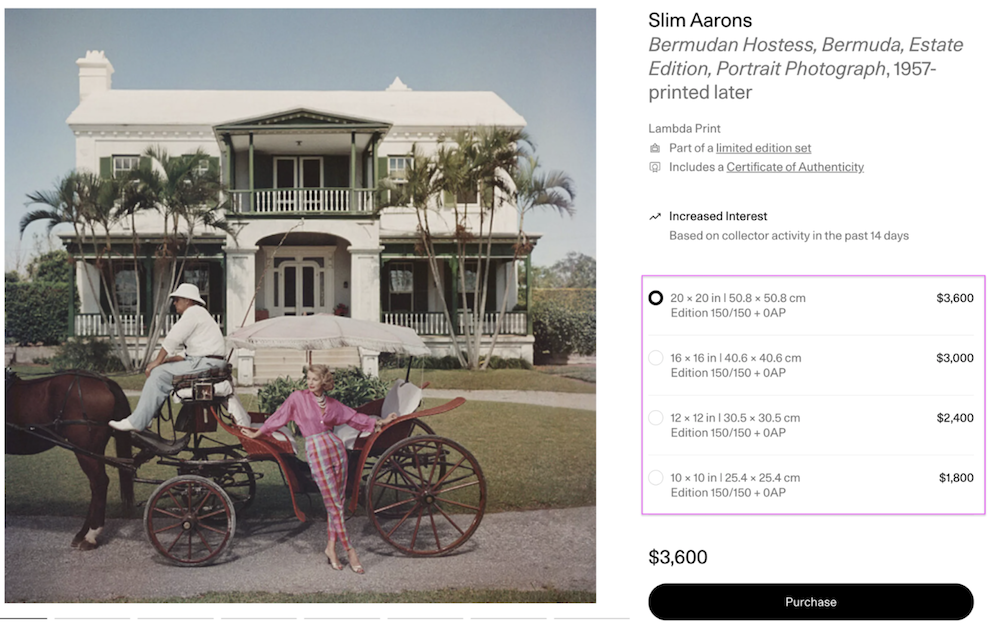 Guide to Editions on Artsy | Artsy Purchase Support